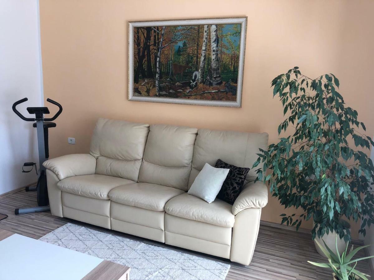Apartma Mahnic Postojna Εξωτερικό φωτογραφία